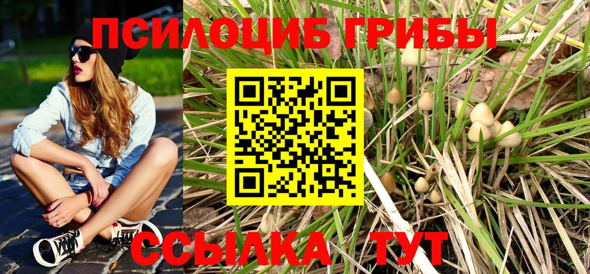 Псилоцибиновые грибы Psilocybine cubensis  Вход с VPN  Кудымкар 